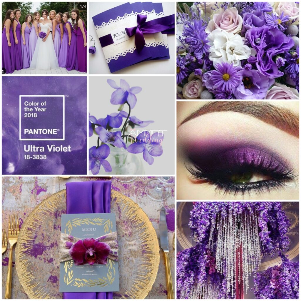 ultra violet pantone 18-3838